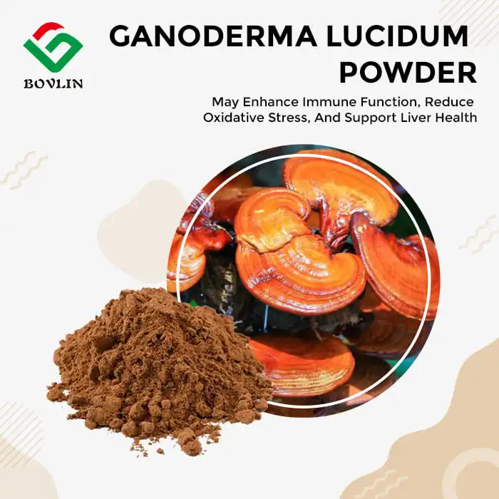 Ganoderma Lucidum Extract Powder
